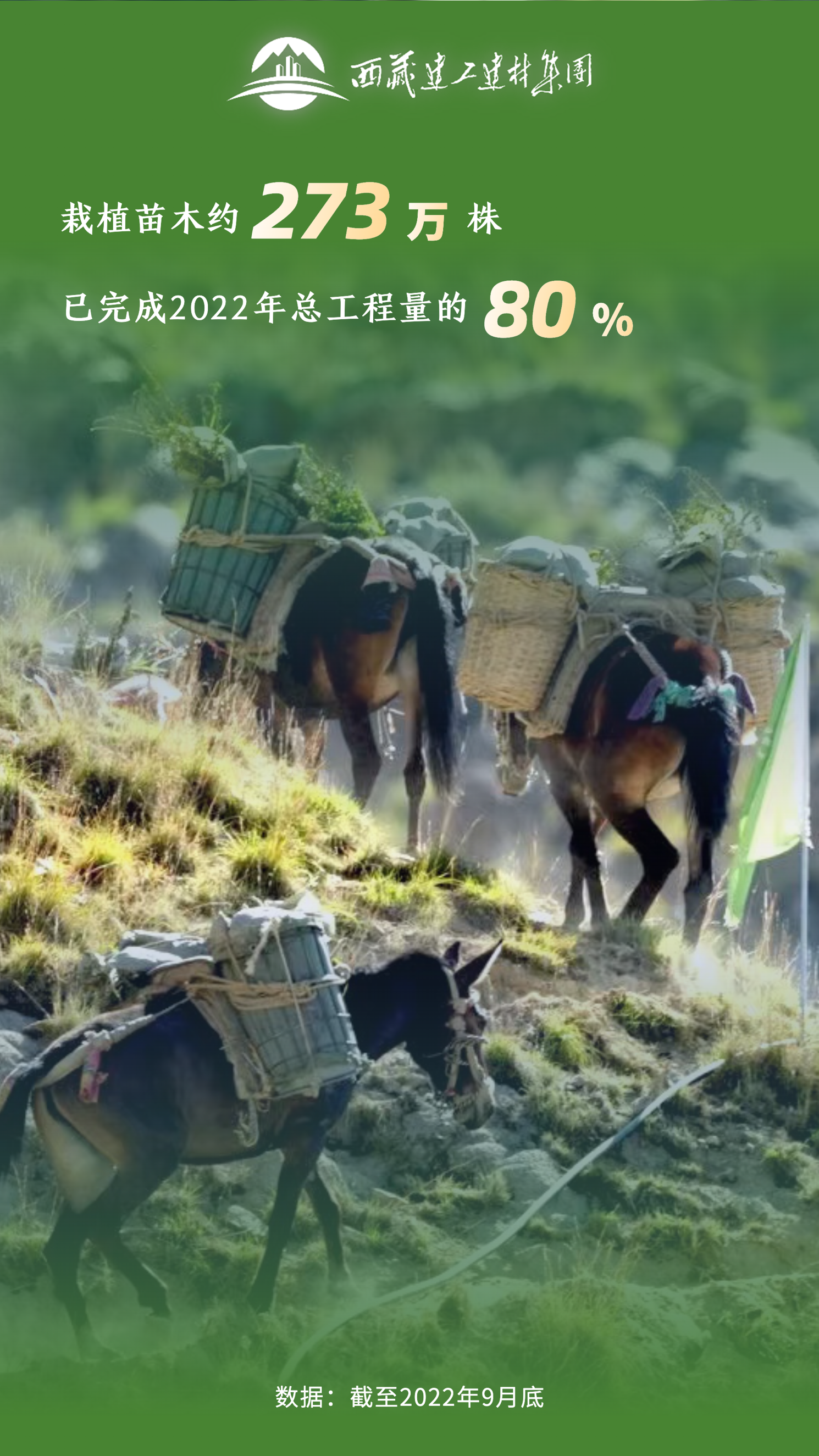 146380132661610921876859238 一飞冲天300倍游戏(中国游)·官方网站