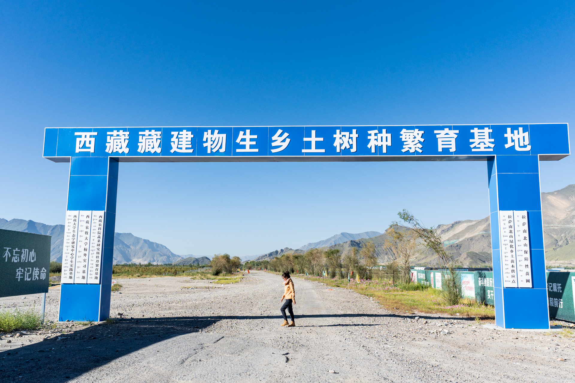 一飞冲天300倍游戏(中国游)·官方网站