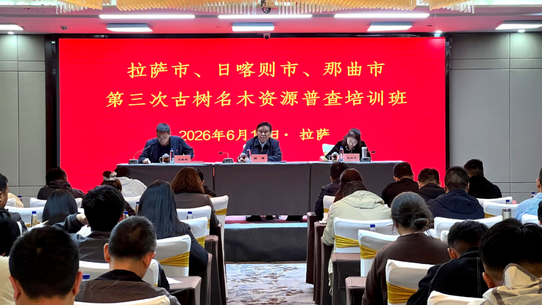 640 (2).png